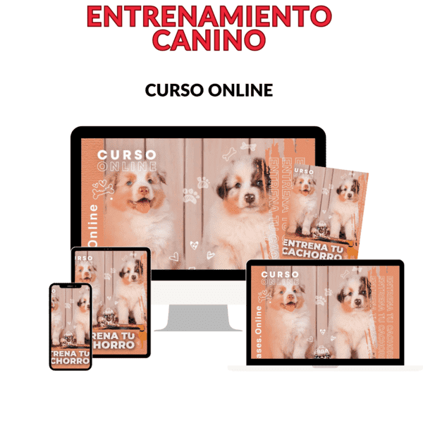 Portada de Entrenamiento Canino MD