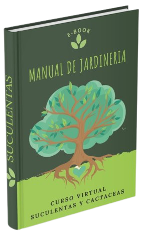 Suculentas manual de jardinería